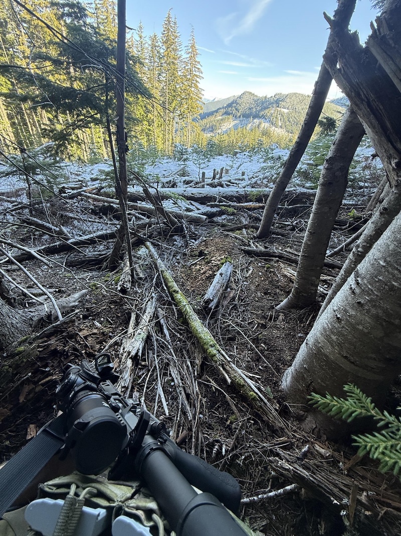 Hiking/shooting on WA public lands